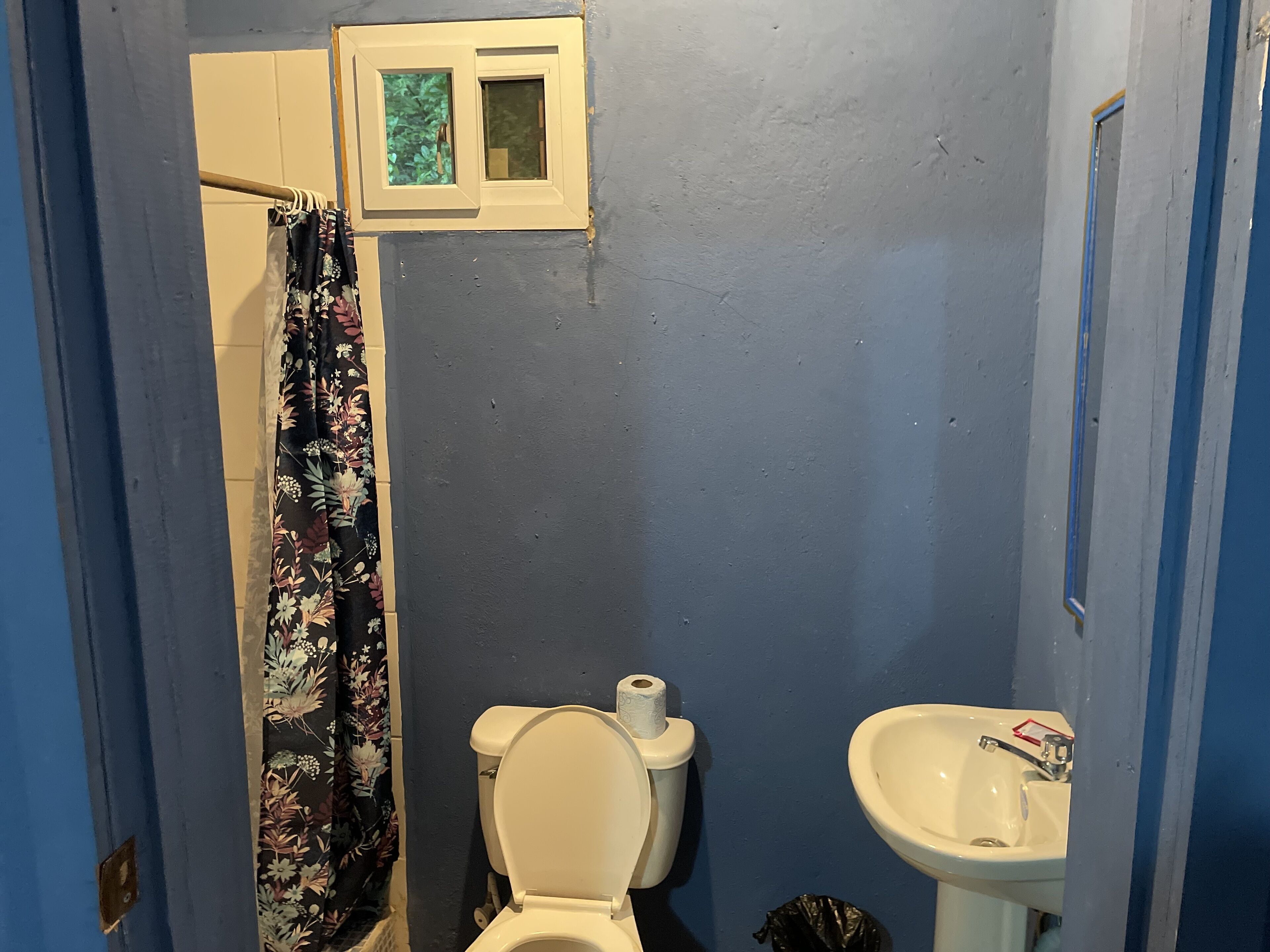 Un baño pequeño con inodoro, lavabo y cortina de ducha.