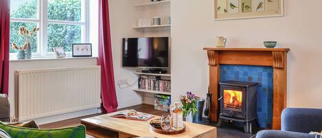 TV, fireplace