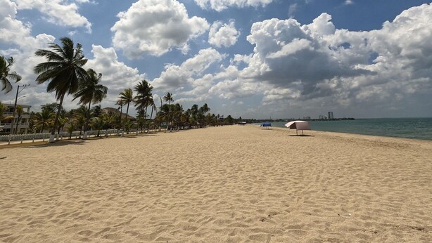 A sandy beach with palm trees and a clear sky. - Covenas Refugio de Familia junto al Mar (Coveñas)