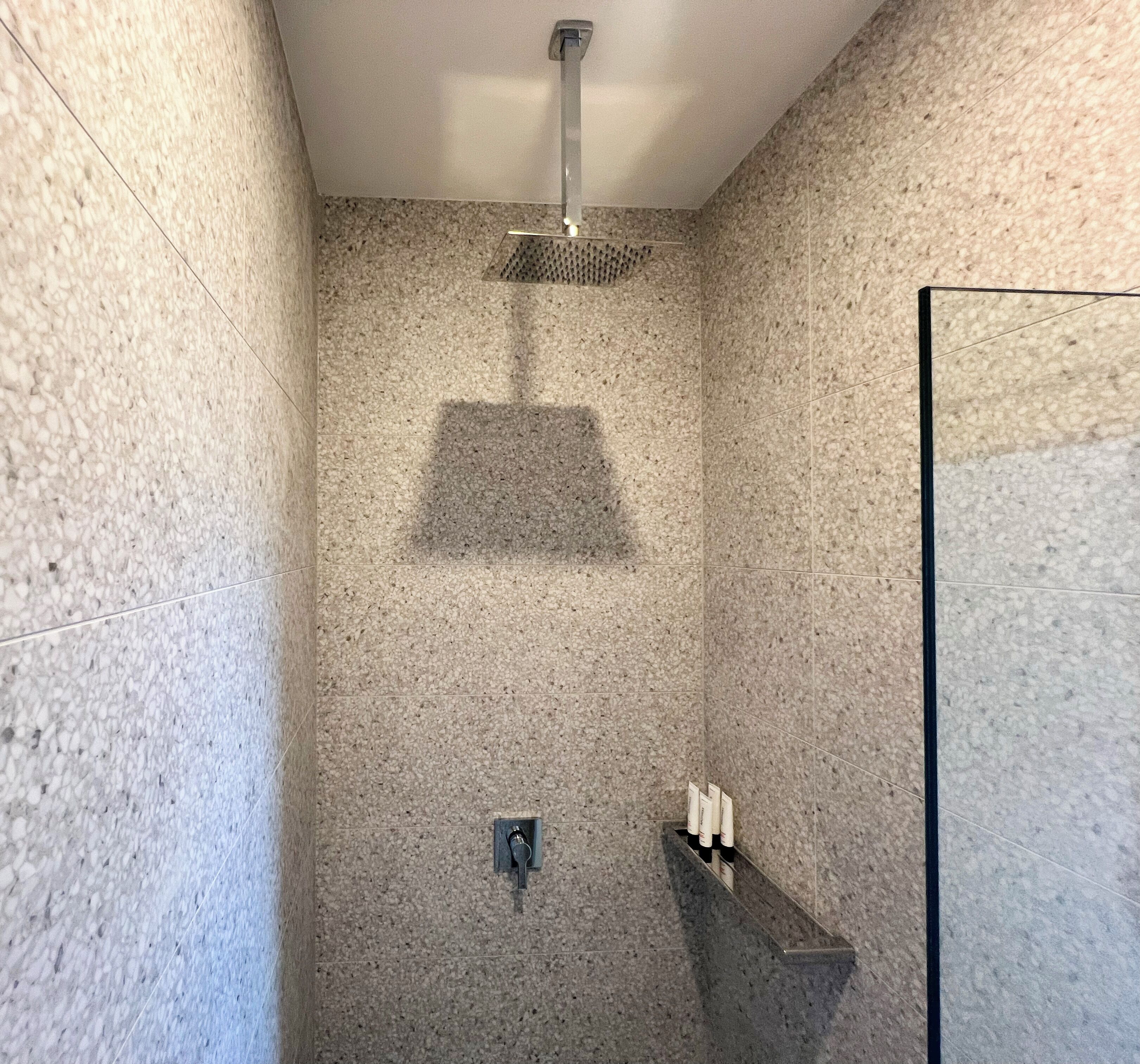 A modern shower with a rain showerhead, a glass enclosure, and a shelf with toiletries.
