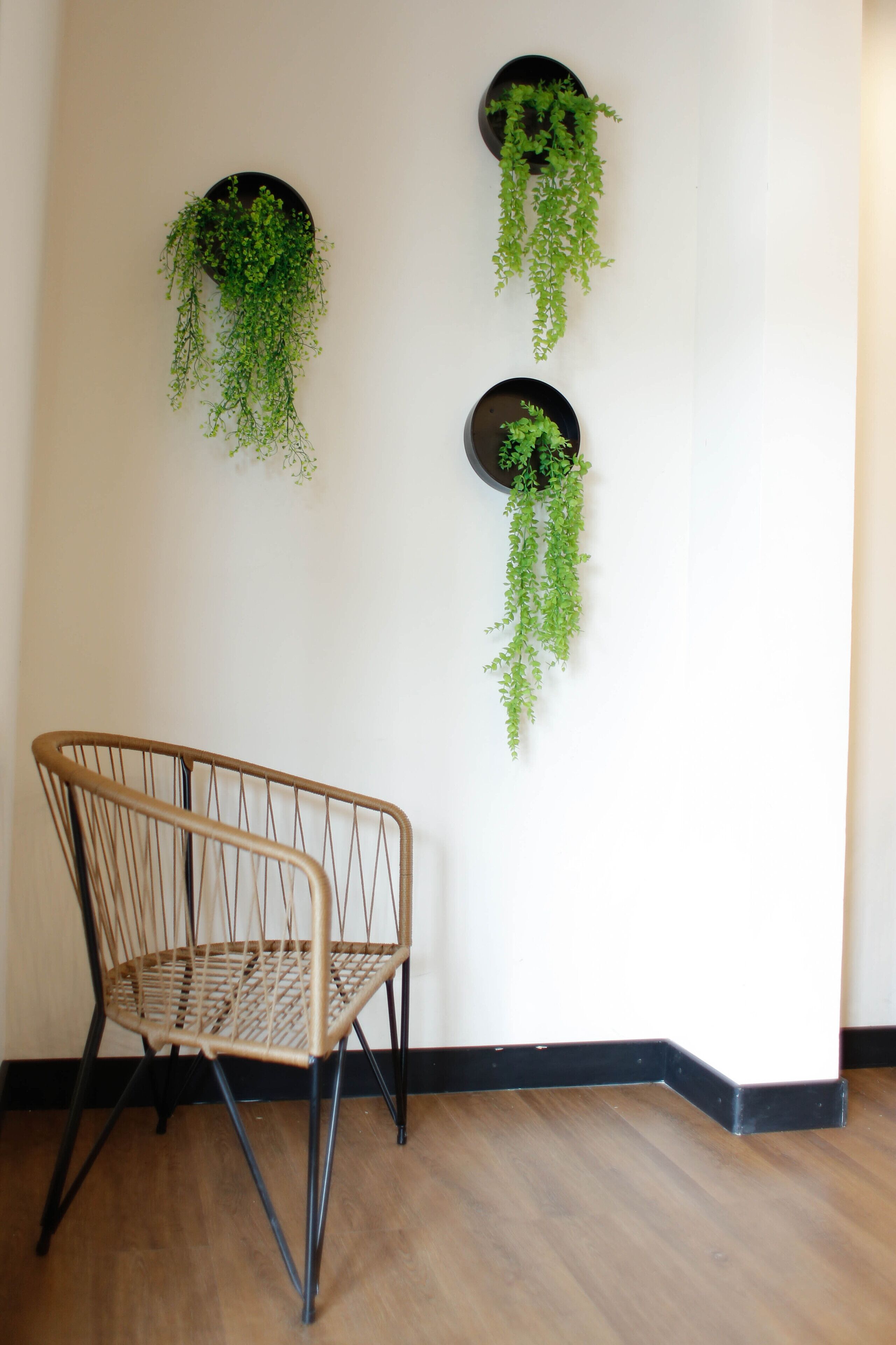 منطقة الاستقبال