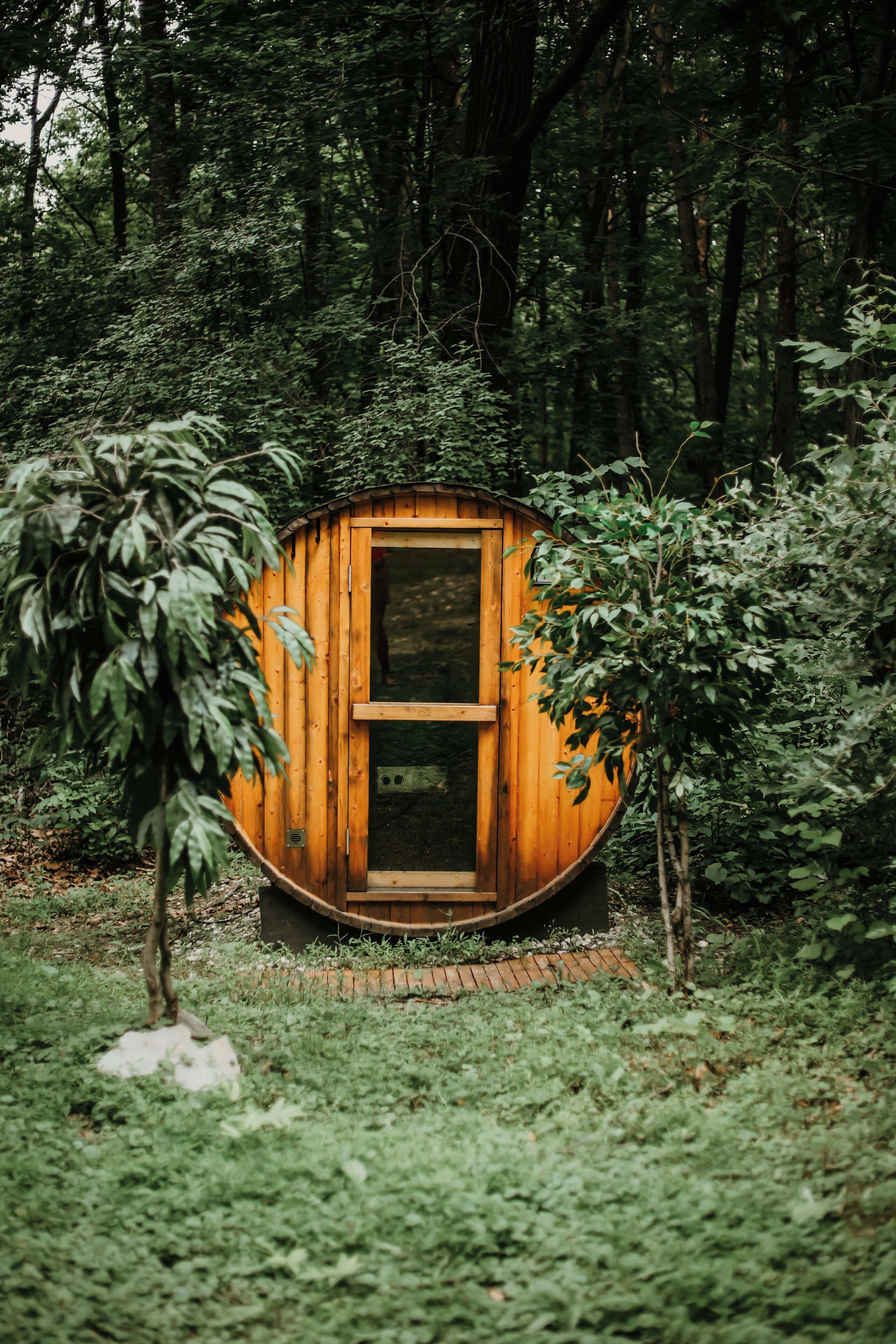 Una cabaña de madera con puerta y ventanas, rodeada de un bosque denso.