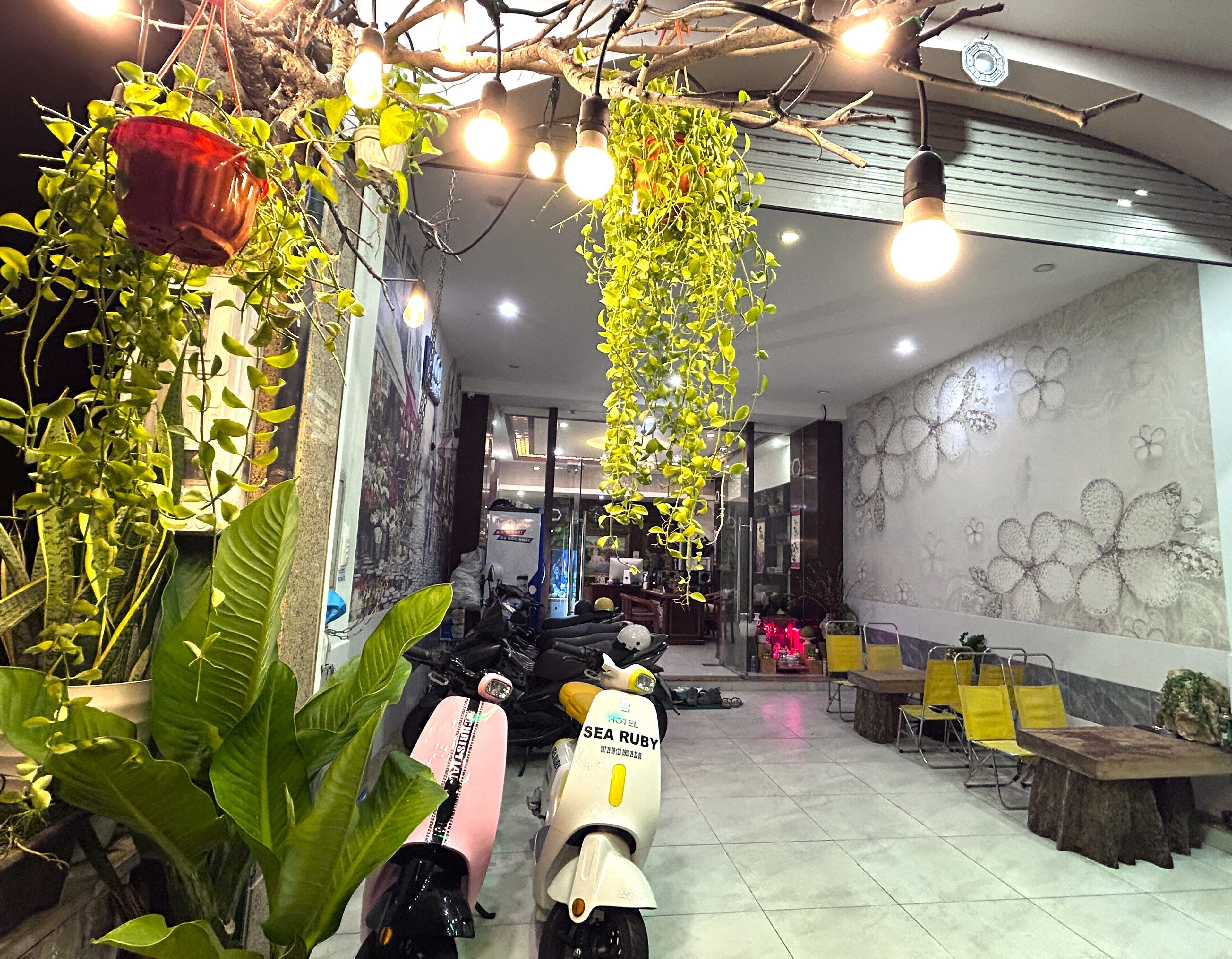 Foto - TNH Hotel Vung Tau