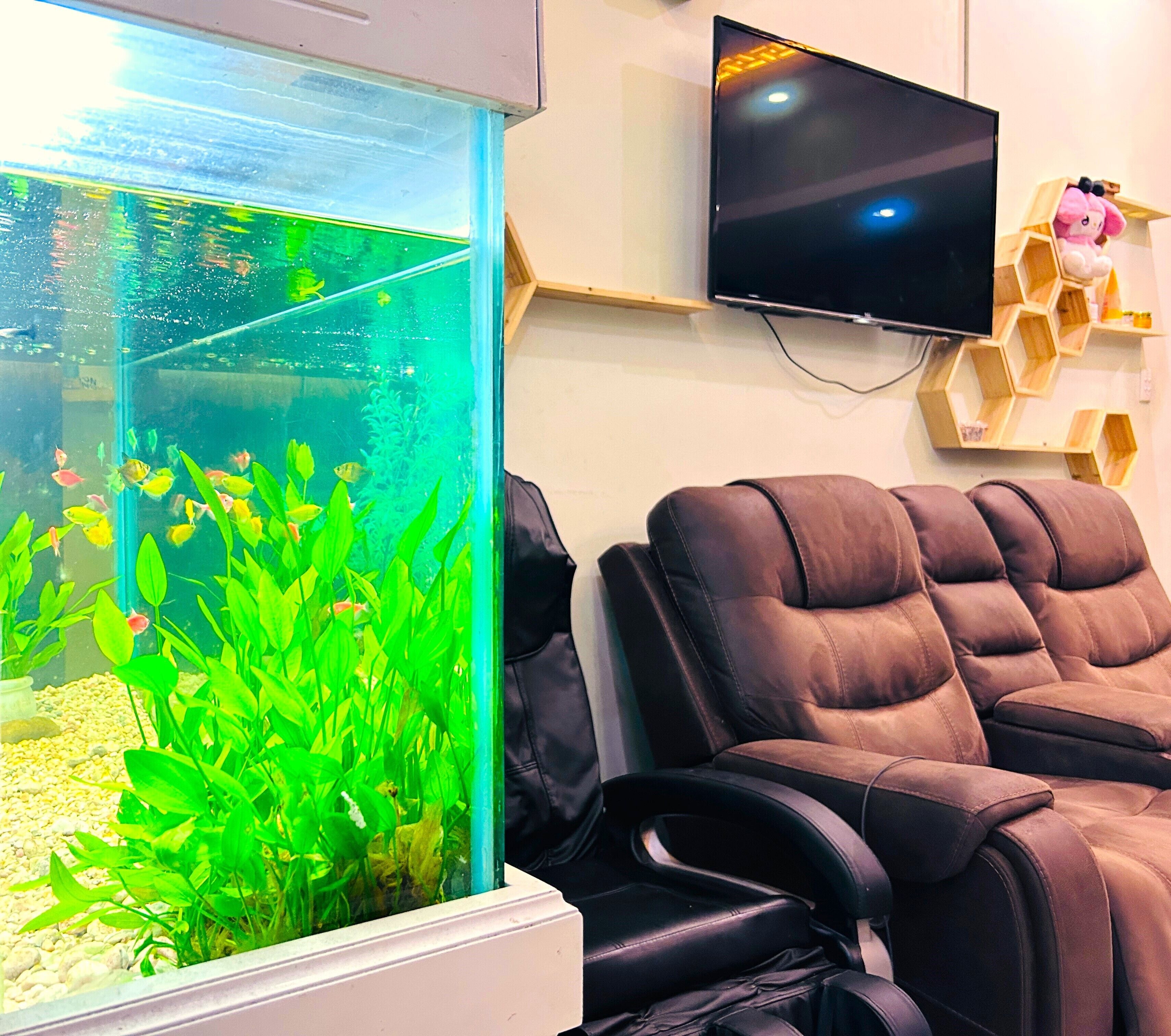 Foto - TNH Hotel Vung Tau