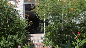 Un jardín con una escalera de piedra que lleva a la entrada de un edificio, rodeado de plantas y flores diversas.