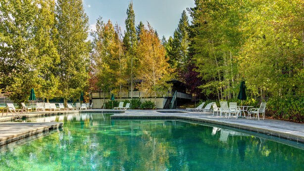 Una piscina con agua cristalina, rodeada de árboles y tumbonas.