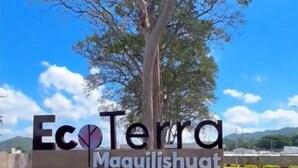A sign for Eco Terra Maquilishuat with a large tree in the background. - Charming 2-bedroom house in Santa Ana with WiFi and AC (Santa Ana)