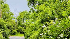 A gravel path surrounded by lush greenery and flowering plants. - Charming Cottage Retreat in Lewistown – Sleeps 4 (Lewistown)