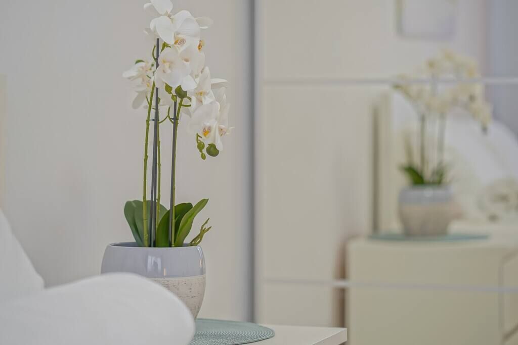 Een witte orchidee in een keramieken pot op een witte tafel in een kamer met een witte muur en een wit kastje op de achtergrond.