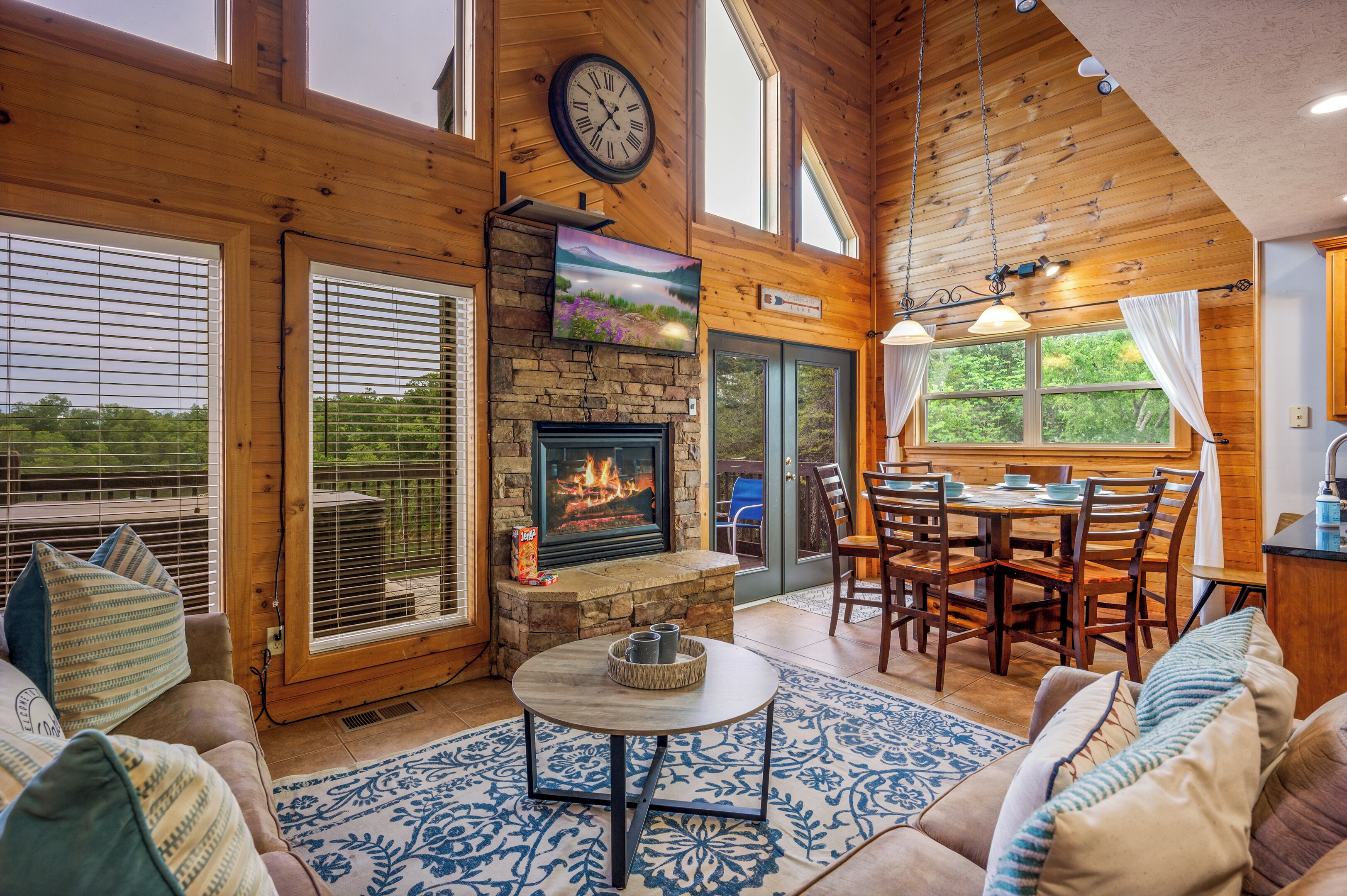 Smart TV, fireplace, books