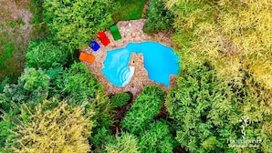 Vista aérea de una piscina rodeada de abundante vegetación.
