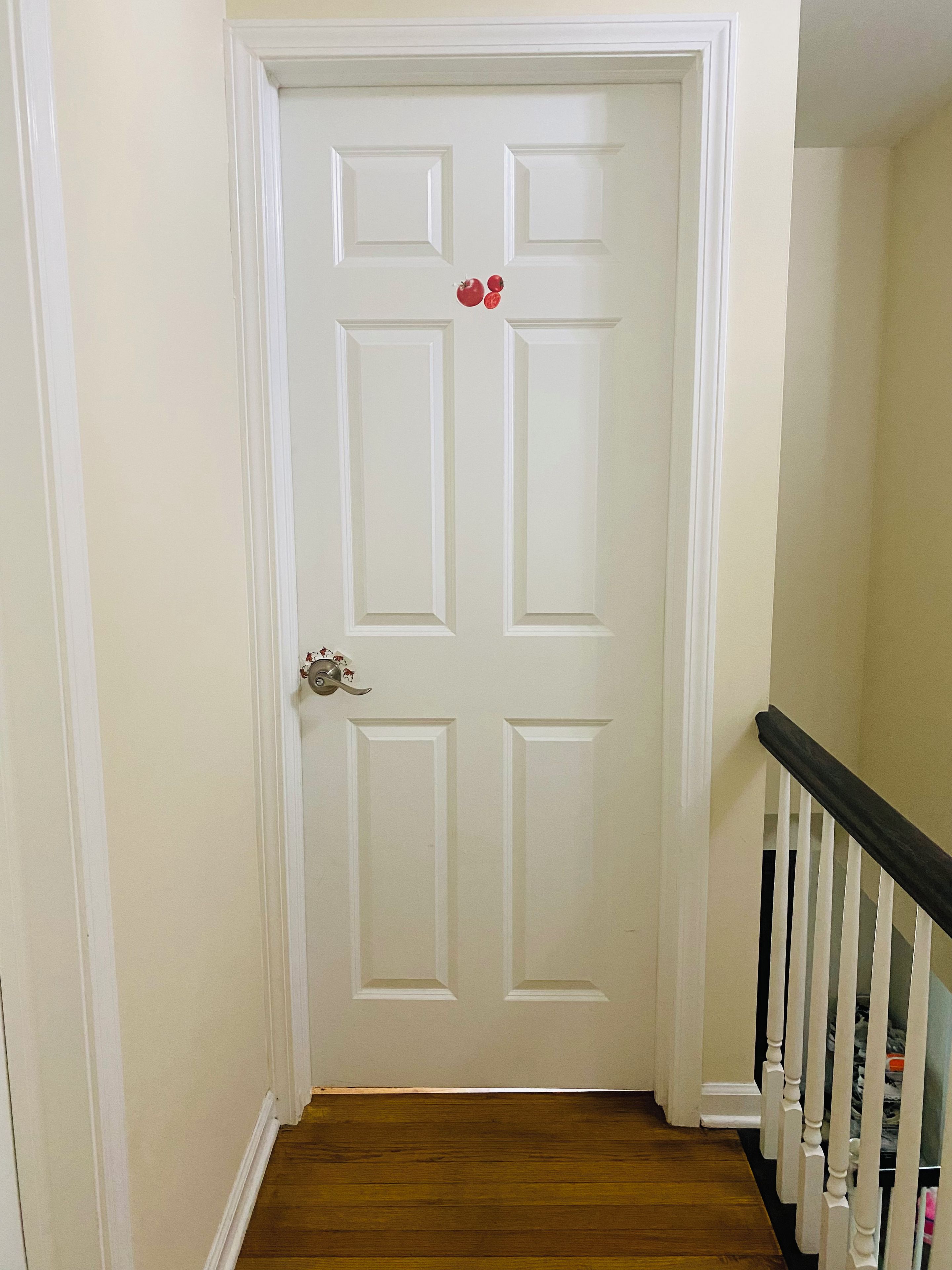 A white door with a simple design, a wooden floor, and a black railing on the right.