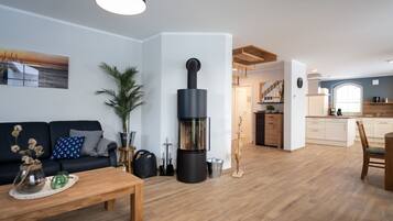 Télévision, cheminée, chaßne hi-fi