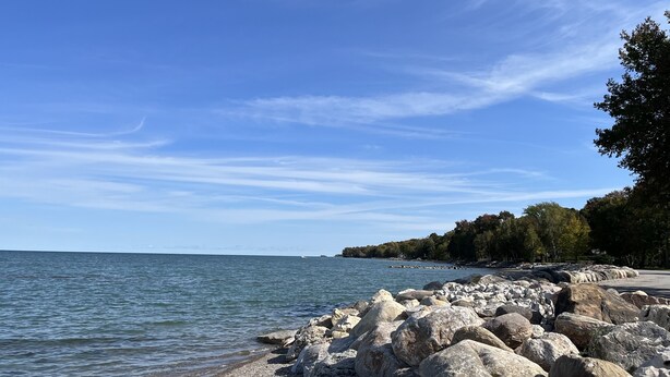 A rocky shoreline with calm water, a clear sky, and trees in the background.