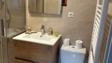 A modern bathroom with a glass shower enclosure, a wooden vanity with a sink, and a toilet.