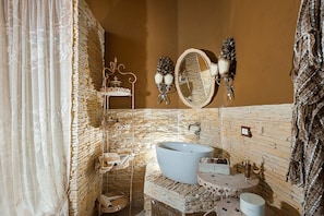 Shower, hair dryer