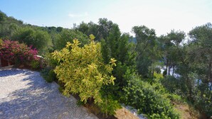 Un chemin de pierre mène à un jardin luxuriant où poussent différentes plantes et arbres.