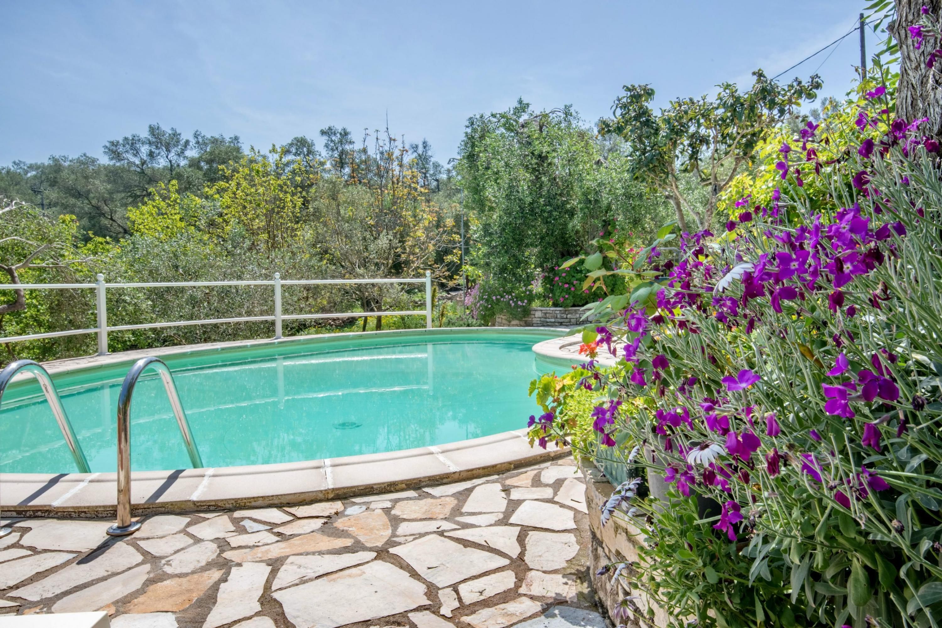 En swimmingpool med stentil og metalgelændere, omgivet af frodig vegetation og lilla blomster.