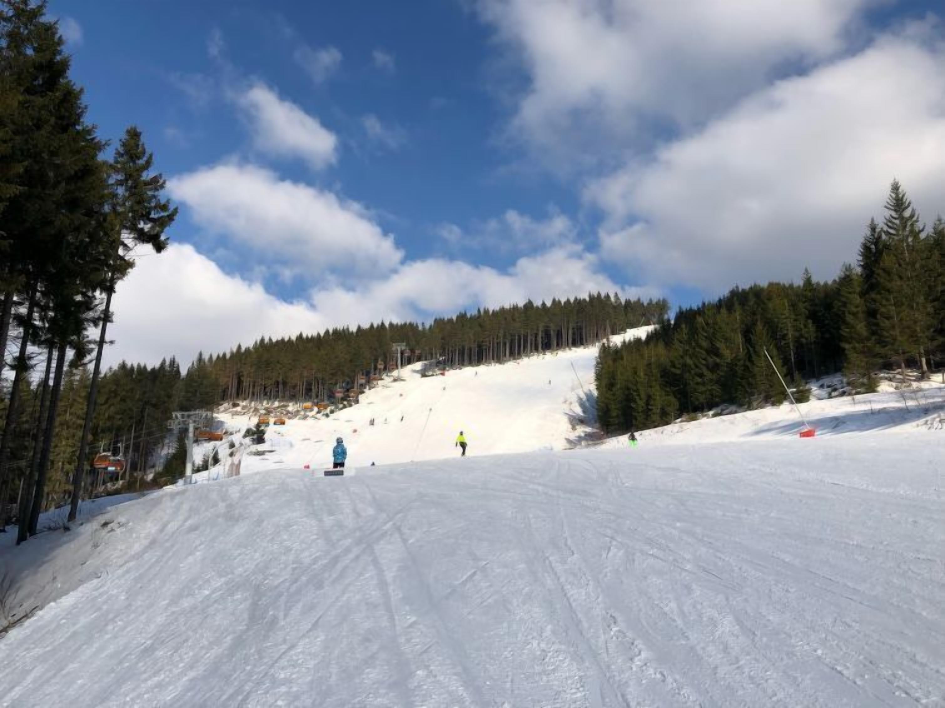 Une piste de ski enneigée, bordée d’arbres de chaque côté, sous un ciel dégagé.