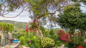 A garden with a stone wall, a metal railing, and a variety of plants and flowers. - Villa Melissa Paxos in Paxi (Paxos)