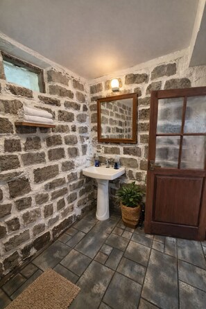 Een badkamer met een stenen muur, een wastafel, een spiegel, een houten deur en een potplant.