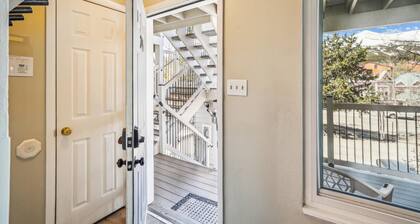 Dog-Friendly for Summer|Updated|On S. Main Street