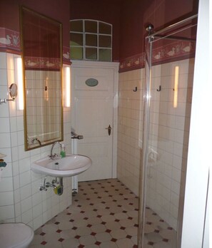 Shower, hair dryer - Schöne Wohnung in Hessen mit Ruhebereich (Hesse)