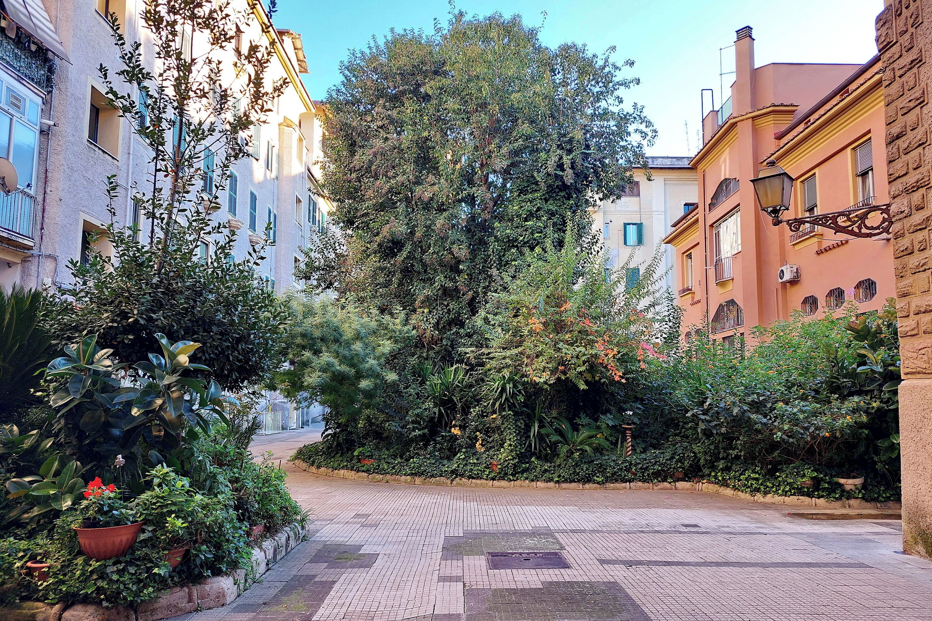 Un carrer urbà estret amb edificis a ambdós costats, un passeig pavimentat i vegetació densa, incloent arbres i plantes en testos.