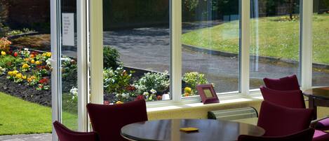 テラス / パティオ