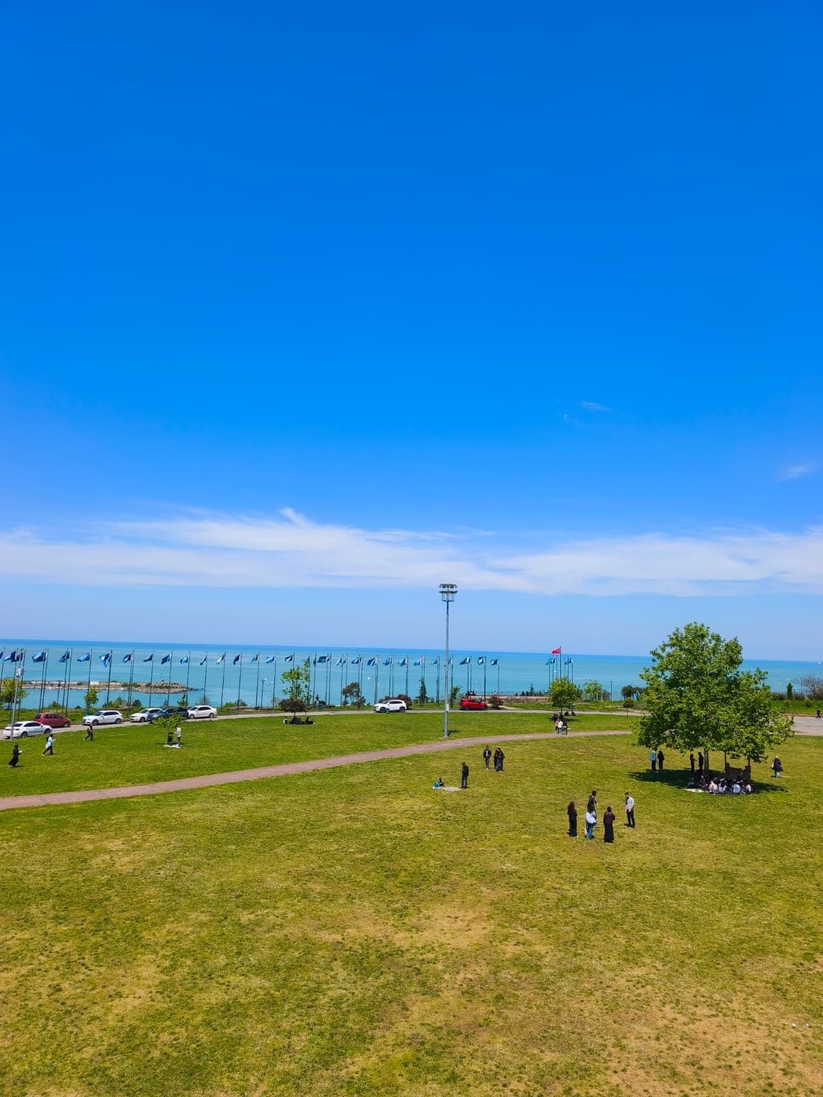 A grassy field with a clear blue sky and a body of water in the background.
