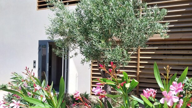 A building with wooden shutters, a small tree, and pink flowering plants in the foreground. - Appartement T2 Neuf, les Terrasses de Ciaccone Proche mer et Montagne (Lecci)