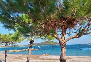Beach - Appartement T2 Neuf, les Terrasses de Ciaccone Proche mer et Montagne (Lecci)