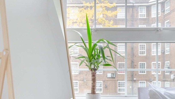 A room with a white bed, a white chair, and a large window with a view of buildings and trees. - Central & Stylish 1BD Flat - 8mins to Greenwich! (London)