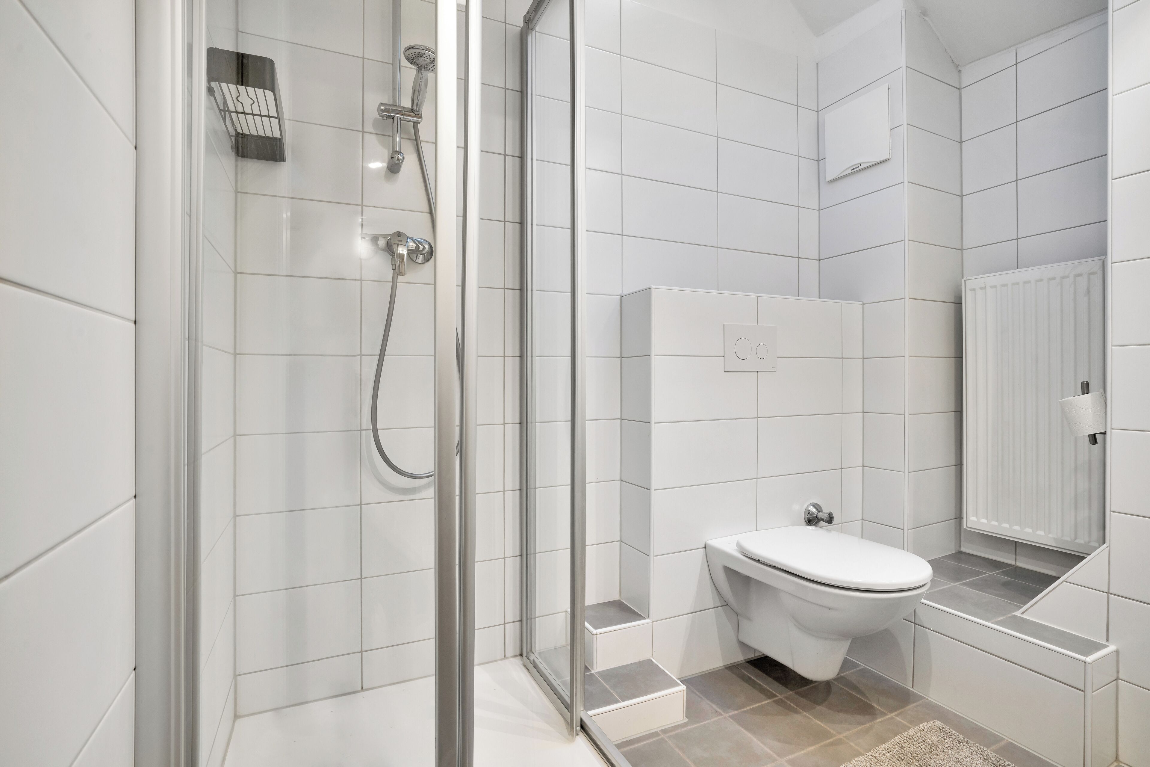 Une salle de bain moderne avec une douche à l’italienne en verre, des toilettes et un radiateur blanc.