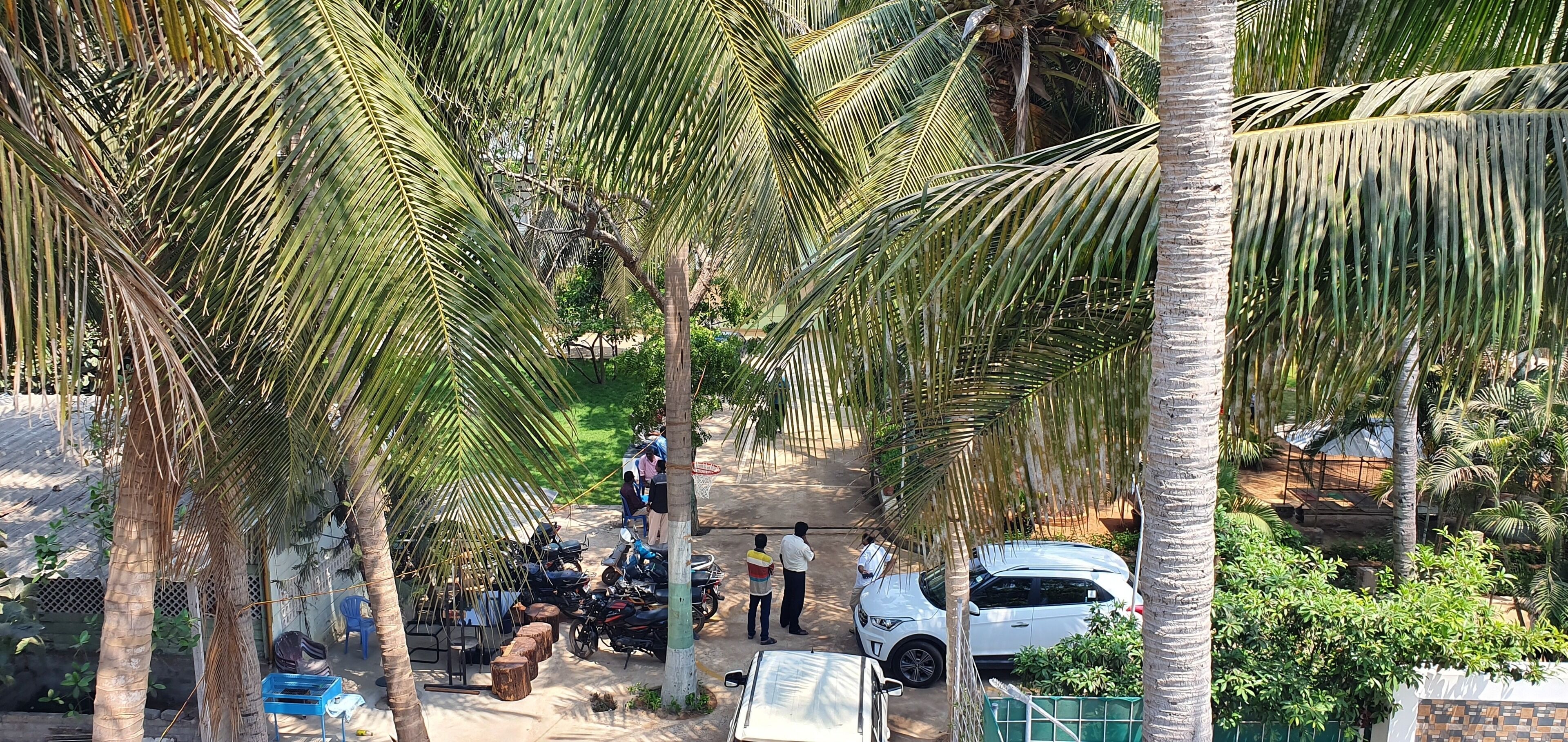 A courtyard with palm trees, parked vehicles, and a few people.