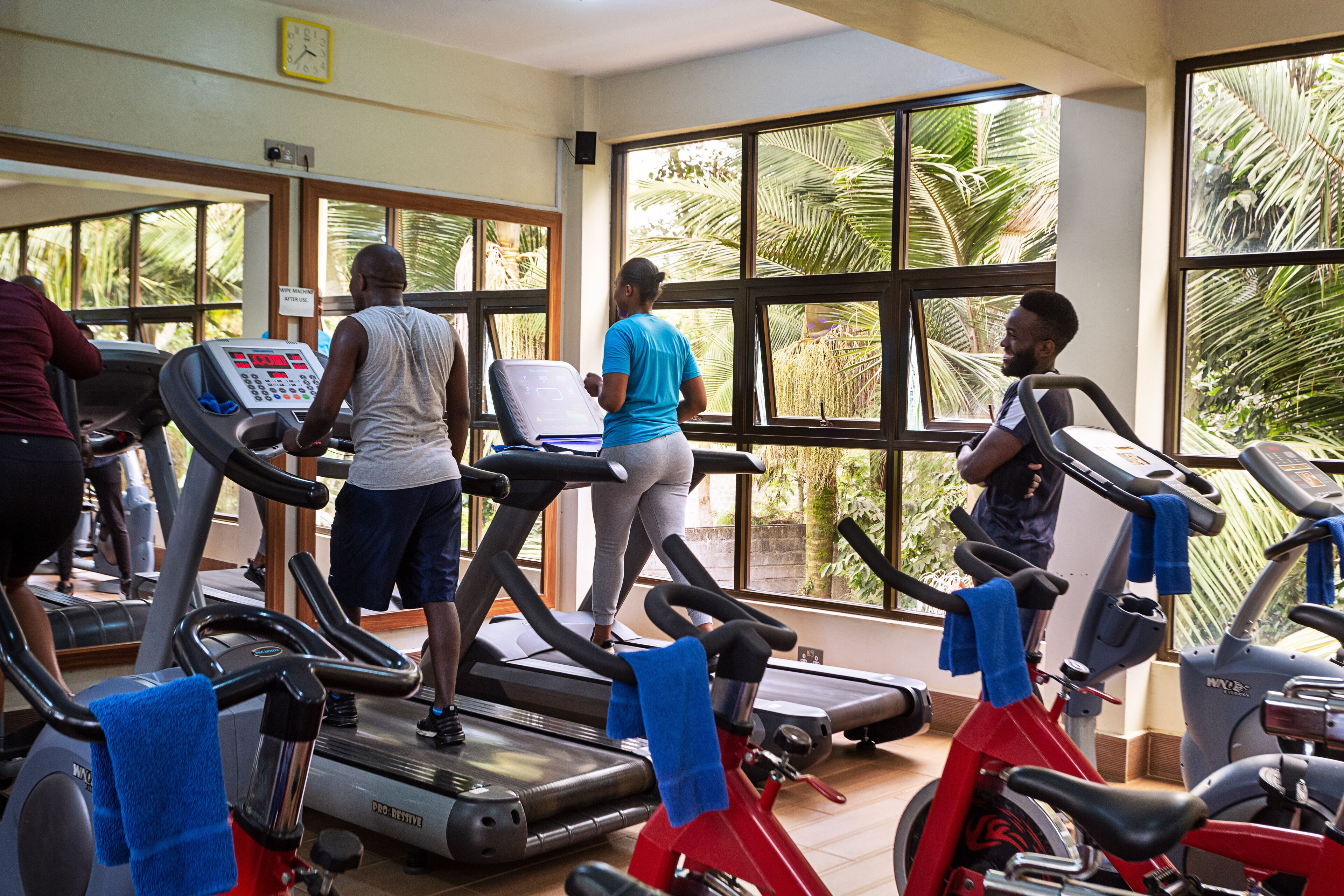A gym with multiple treadmills, a control panel, and large windows with a view of palm trees.