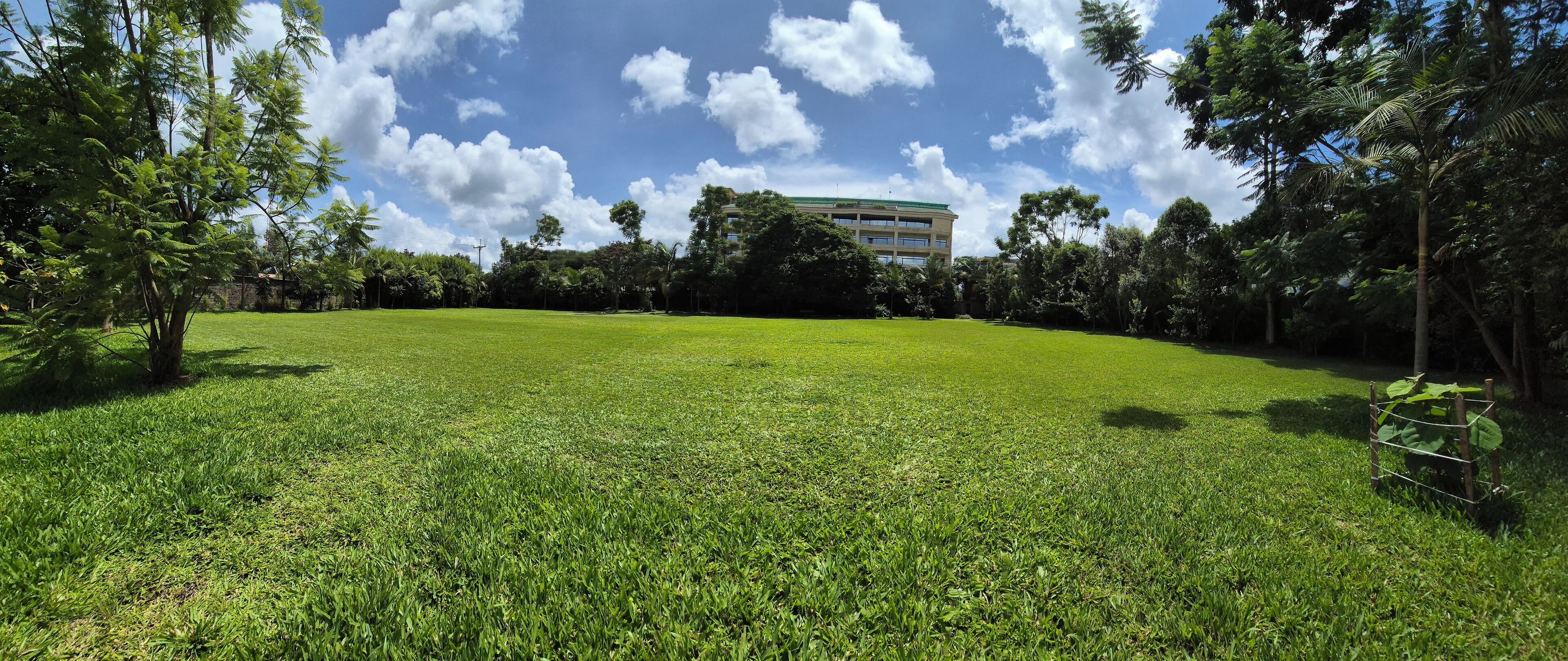A grassy field with a building in the background.