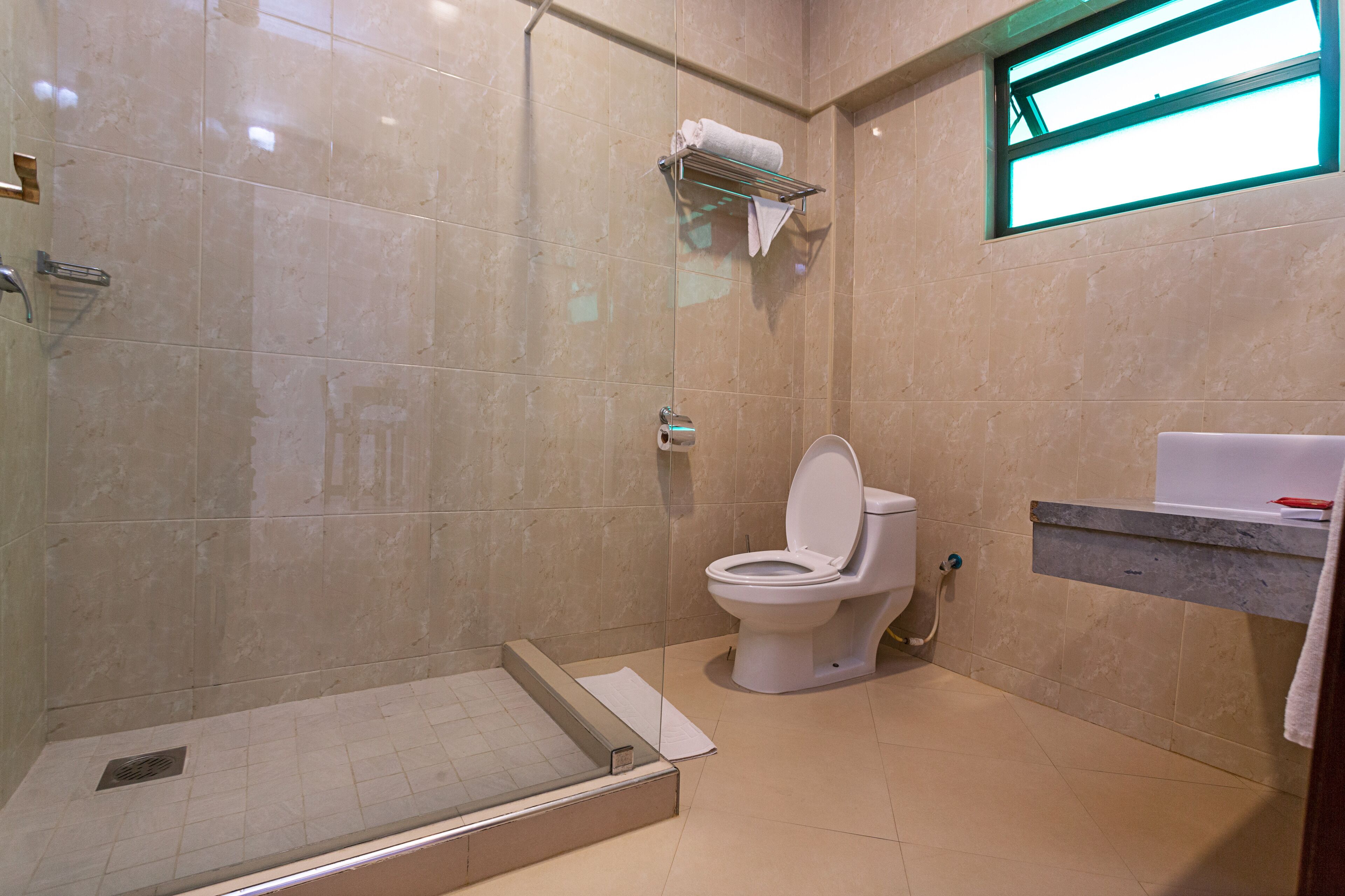 A modern bathroom with a glass-enclosed shower, a toilet, and a sink with a towel rack.
