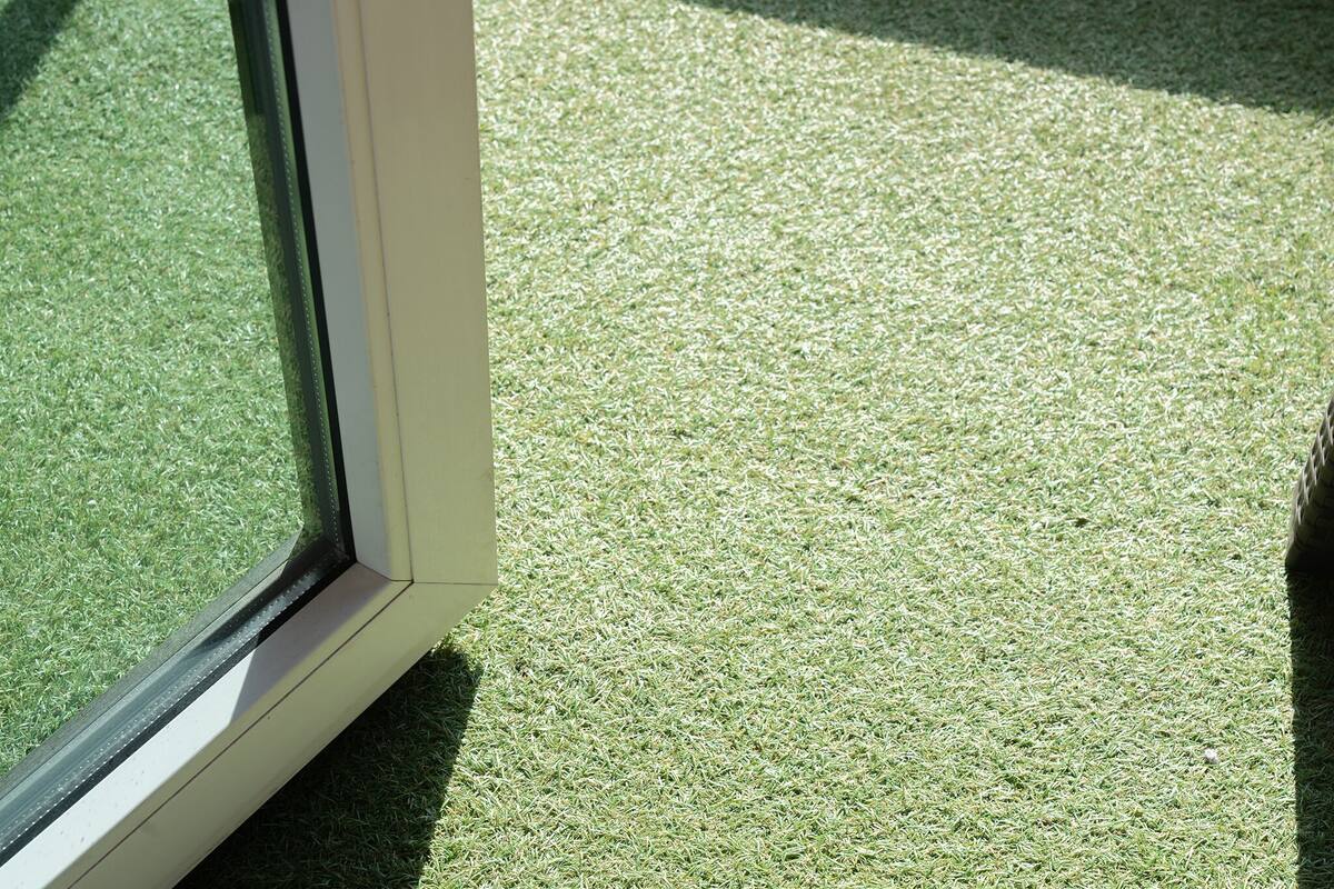 A window with a white frame on a textured green surface.