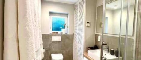 Shower, hair dryer, towels, soap