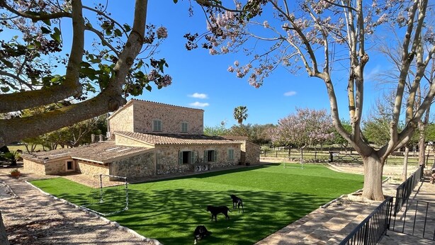 A stone building with a tiled roof, a fenced yard, and two black dogs. - Cream Homes Son Celles Etv3533, Casa de Campo Recién Reformada (Sancellas)