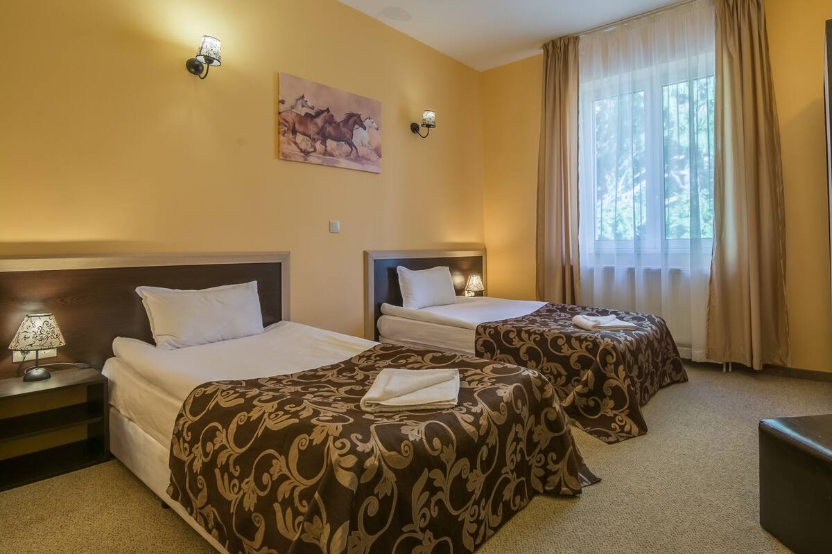 Economy Double Room | Laptop workspace, iron/ironing board (on request), WiFi (free)
