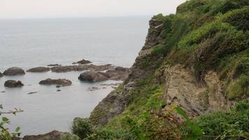 Ulkopuoli