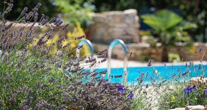 Villa Palera (Istrien - Liznjan)