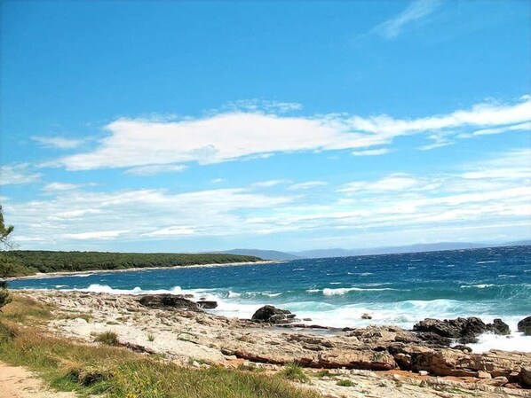 Beach - Villa Anamaria (Istria - Sisan) (Sisan)