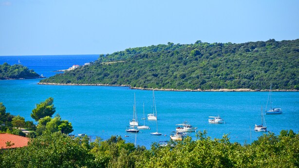 A coastal view with boats on a clear blue sea, surrounded by lush greenery. - Apartment Mare2 (Istria - Banjole) (Banjole)