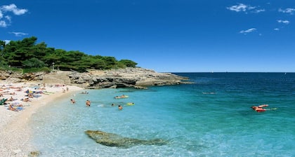 Villa Zelda (Istria - Liznjan)