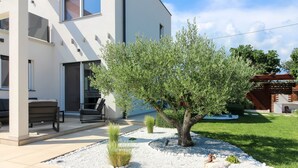 Una casa moderna con un patio che include un piccolo ulivo, un’area salotto con una poltrona e un giardino roccioso decorativo.