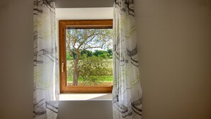 A window with a view of a tree and greenery outside.