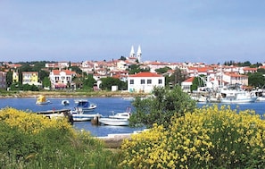 Stroll through the charming coastal town, surrounded by historic buildings and picturesque boats docked along the waterfront.